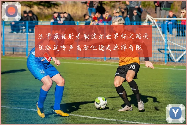 法甲最佳射手勒波尔世界杯之路受阻球迷呼声高涨但德尚选择有限
